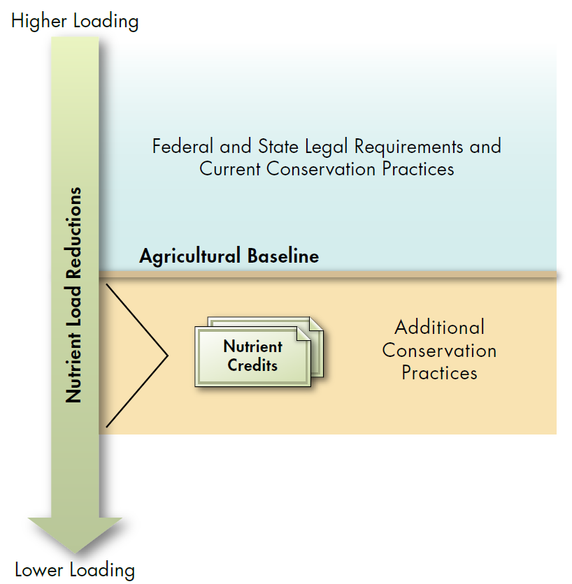 Federal and State Legal Requirements and Current Conservation Practices