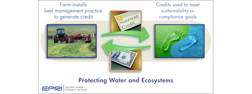 Water quality trading is an innovative market-based approach to achieving water quality standards through credit programs.